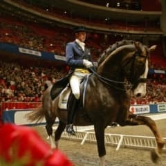Stockholm International Horse Show