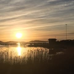 Guiden till Göteborgs skärgård