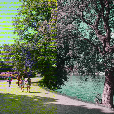 Guide to lovely walks in Stockholm