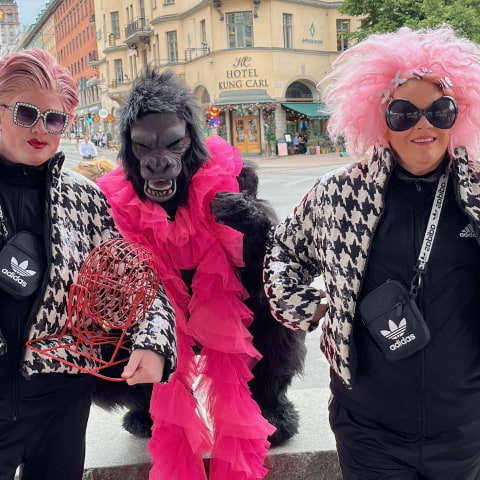 Hysteria Bingo fortsätter på Kung Carl