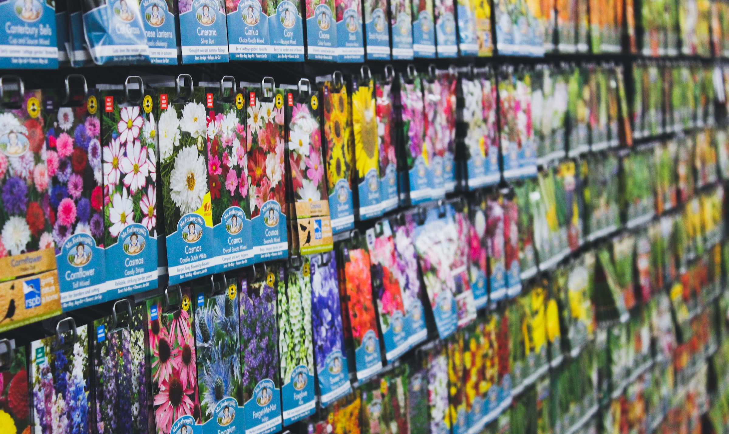 The best garden centres and plant shops in London