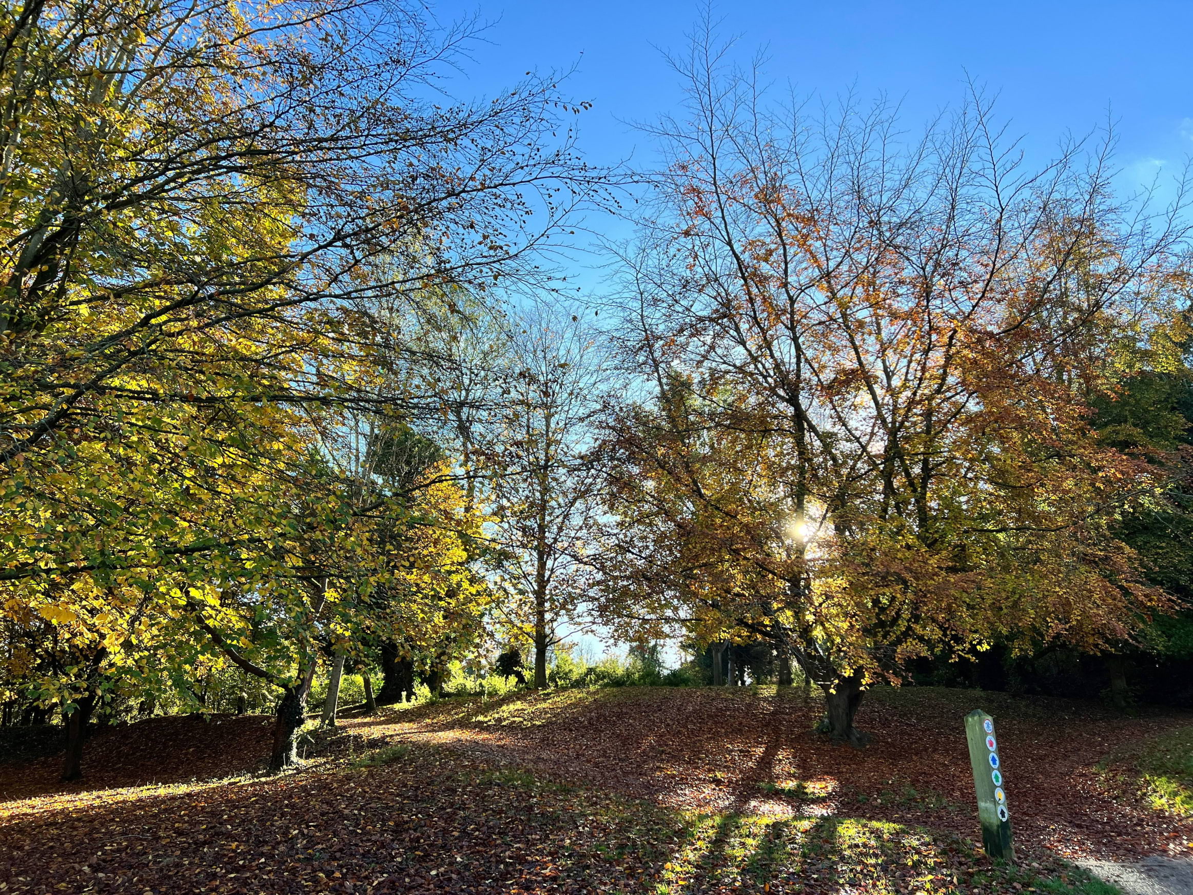 Free things to do in Manchester