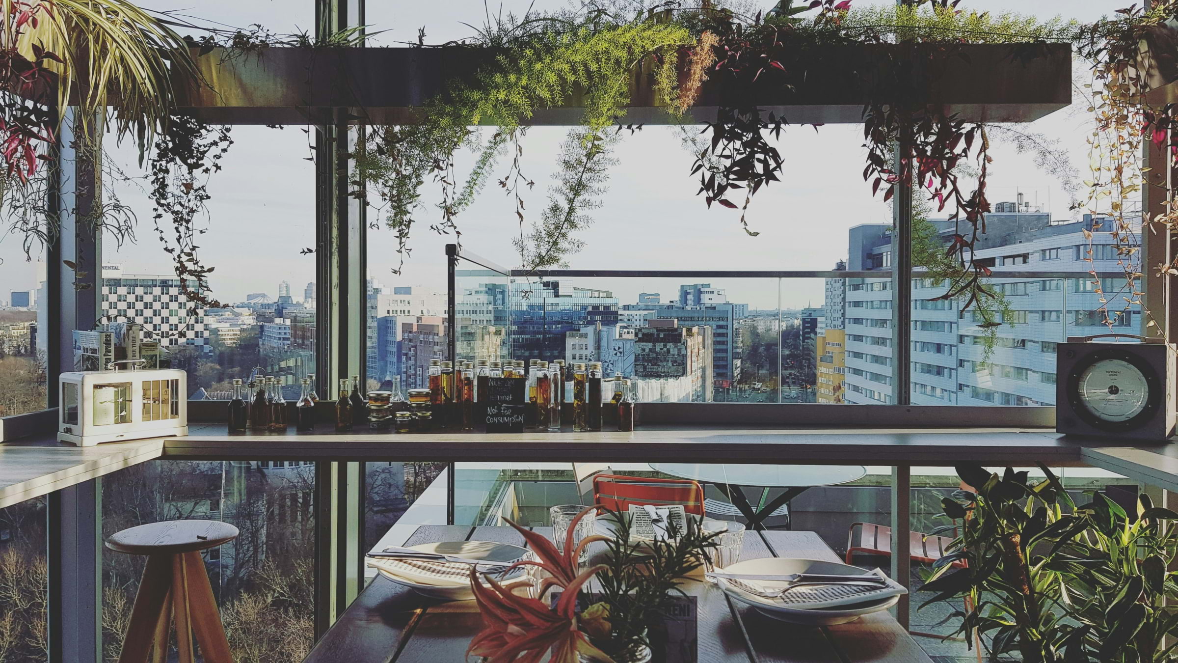 A rooftop bar with hanging foliage and skyscrapers