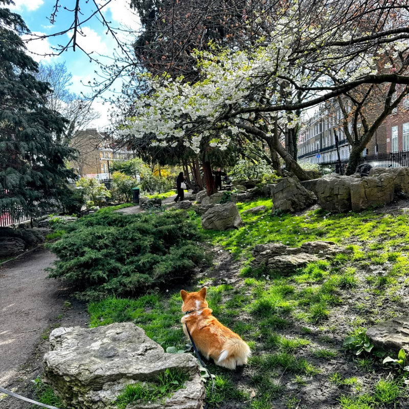 Bild från Colebrooke Row Gardens av Vesna D. (2023-05-17)