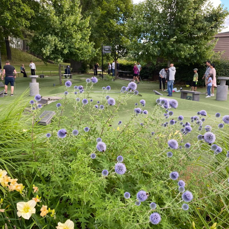 Bild från Golfbaren Kristineberg av Peter B. (2022-08-06)