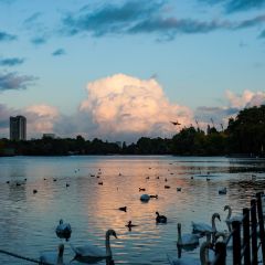 Hyde Park