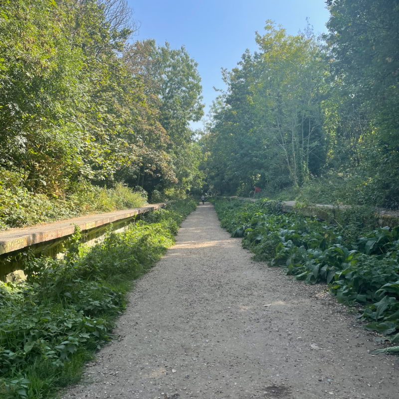 Photo from Parkland Walk by Tamsin S. (20/09/2023)