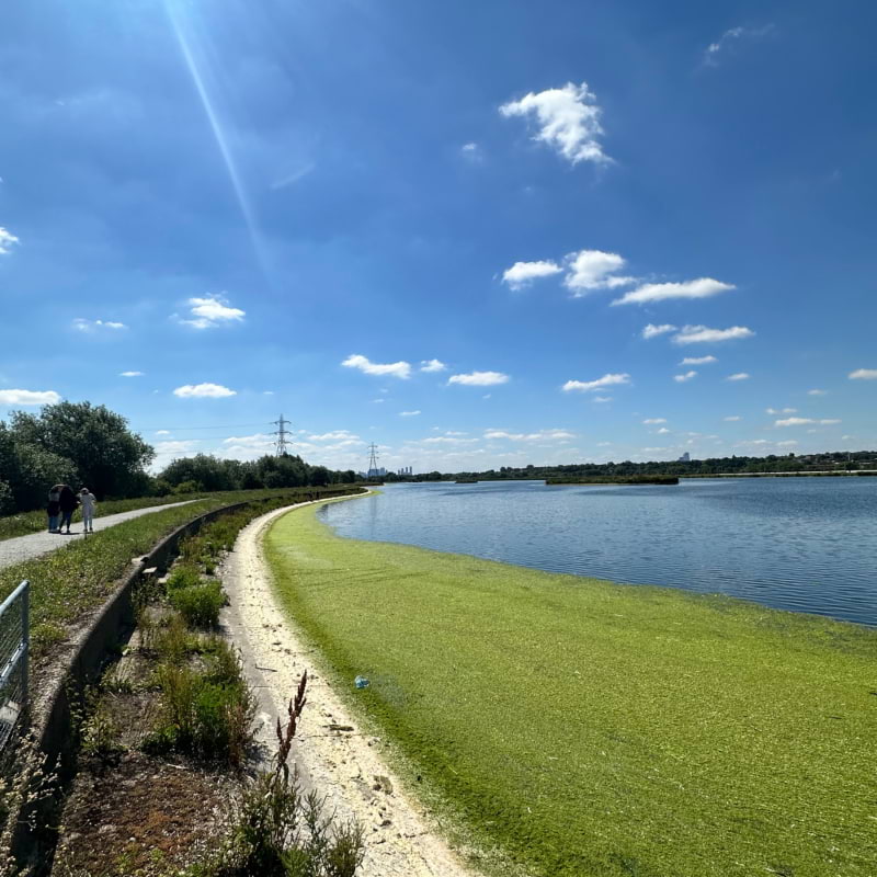Photo from Walthamstow Wetlands by Daniel S. (23/06/2024)