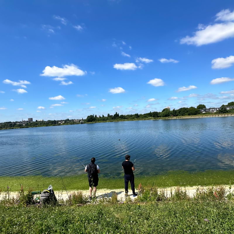 Photo from Walthamstow Wetlands by Daniel S. (23/06/2024)