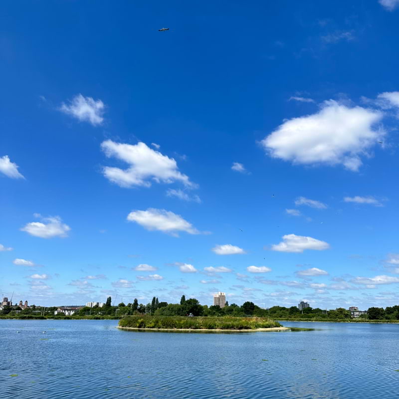 Photo from Walthamstow Wetlands by Daniel S. (23/06/2024)