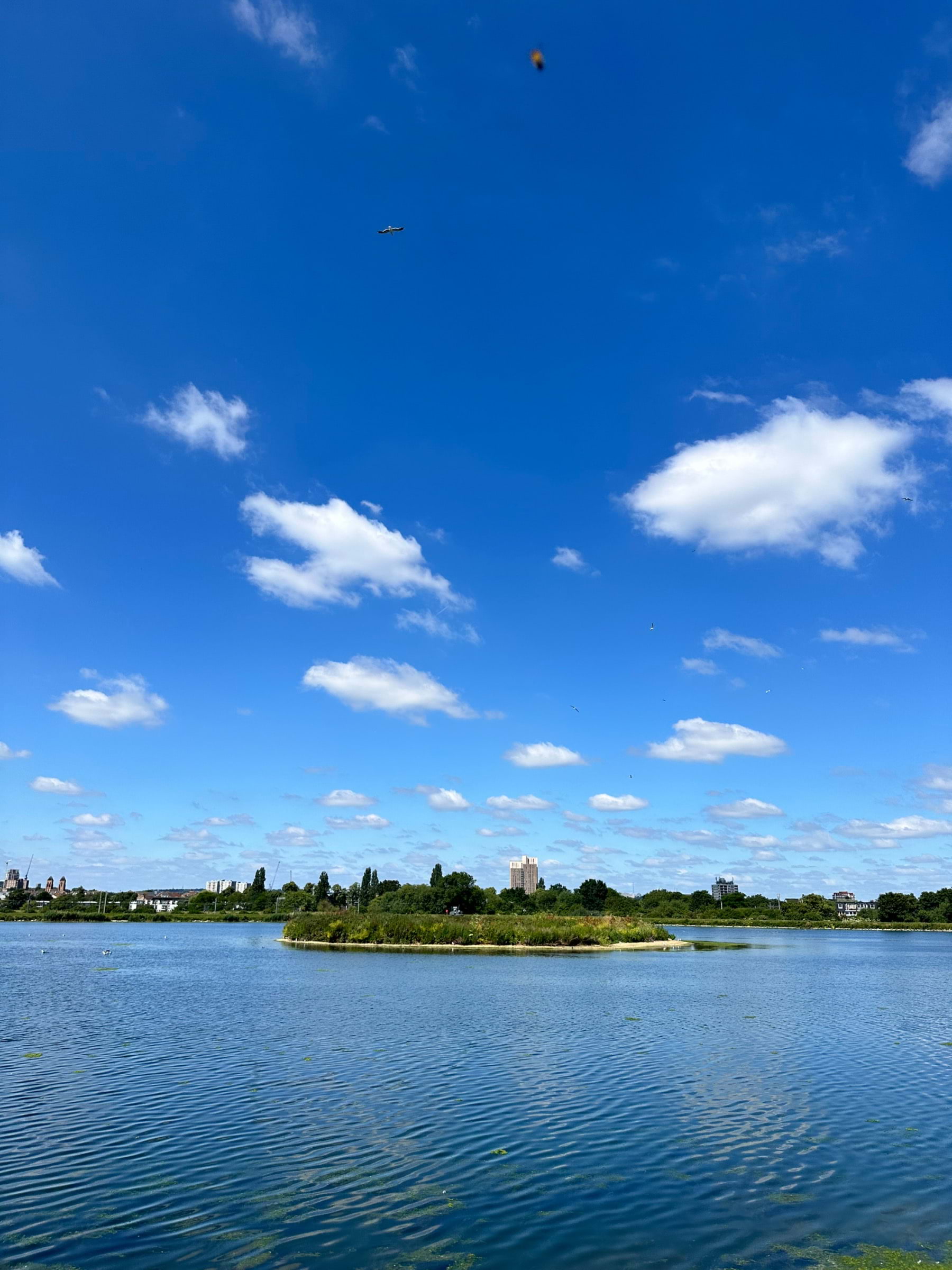Bild från Walthamstow Wetlands av Daniel S. (2024-06-23)