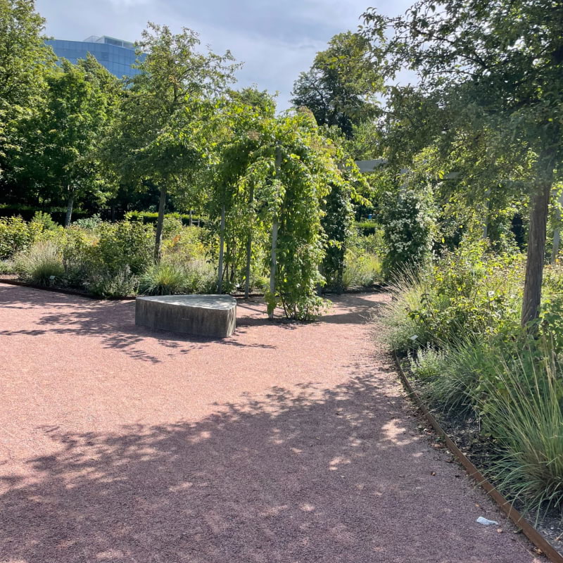 Bild från Restaurang Natur av Katrine L. (2022-08-06)