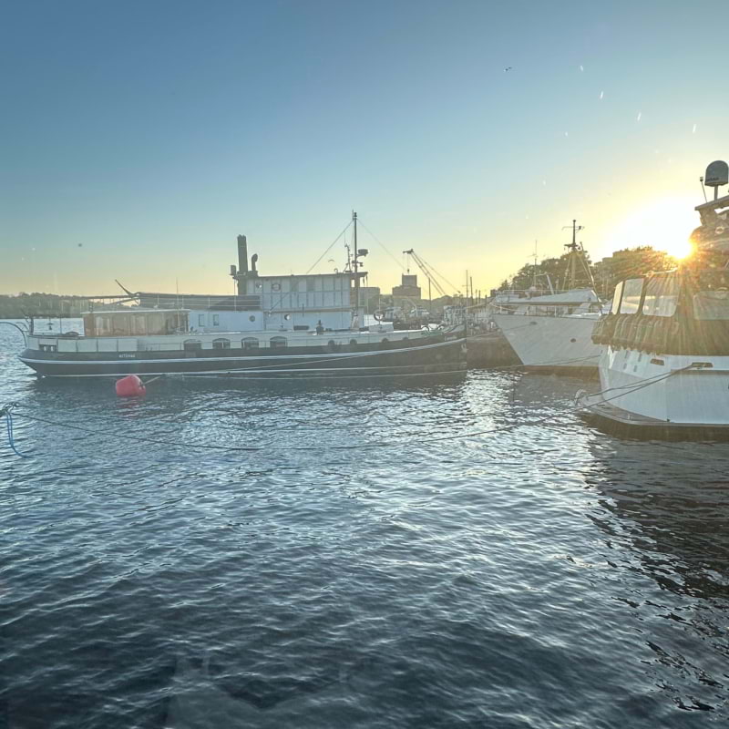 View – Bild från La Sirenetta av Simon H. (2024-05-19)