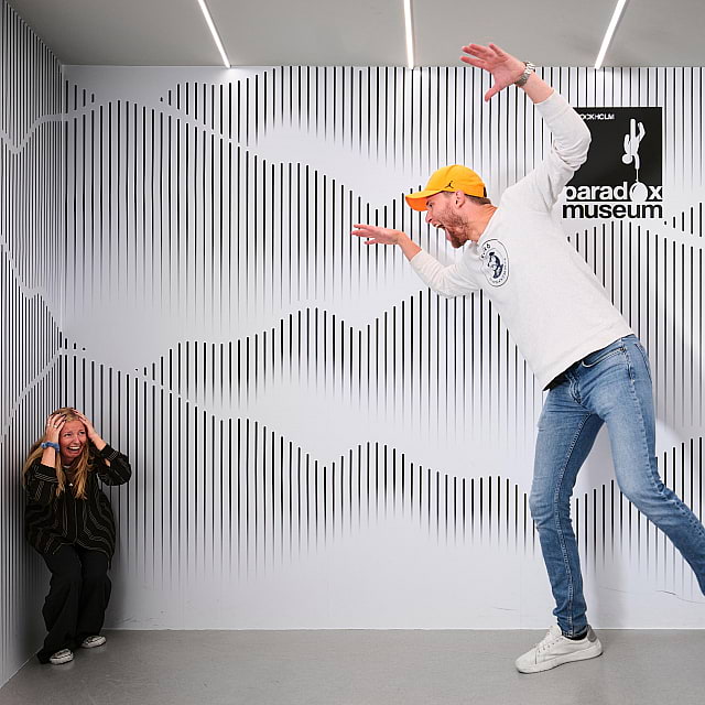 Paradox Museum