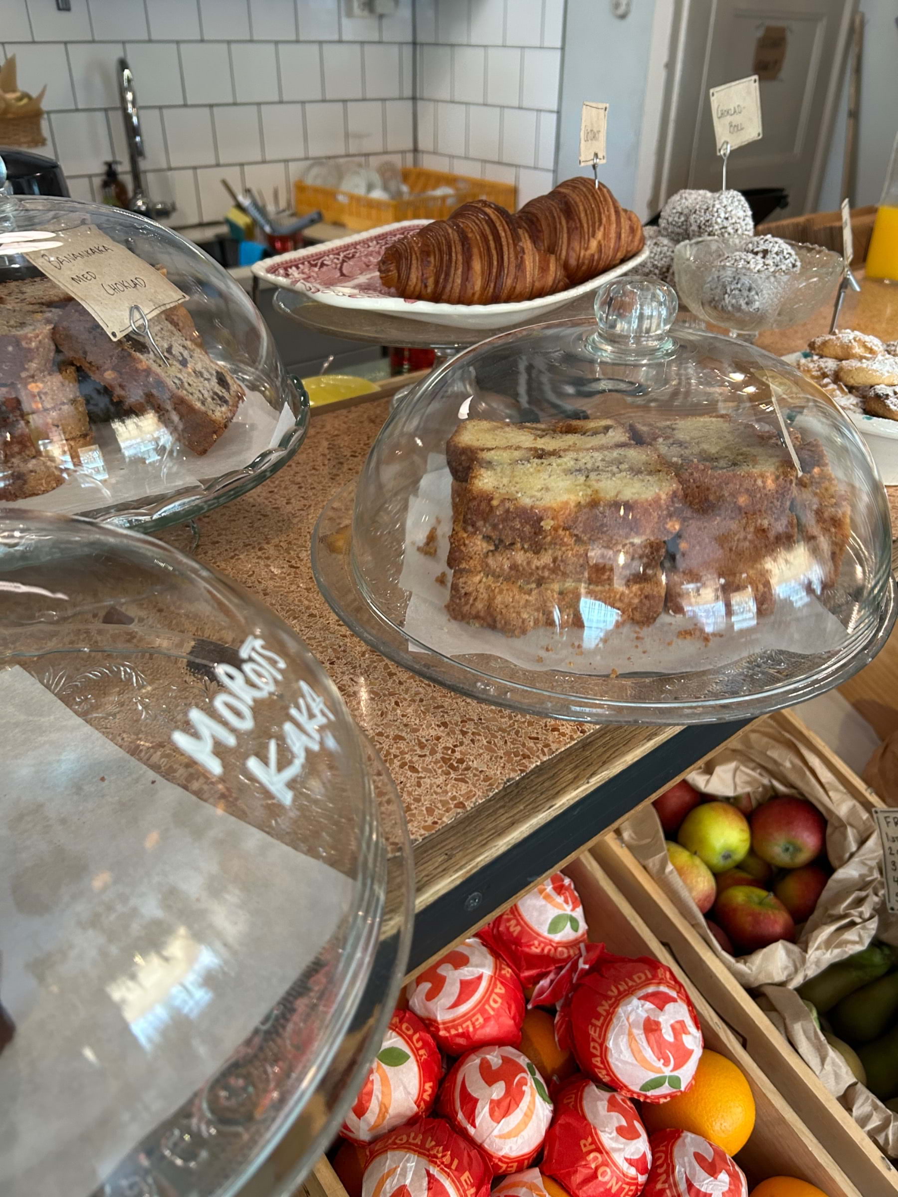 Bild från Paloma Café av Aurora H. (2024-04-28)