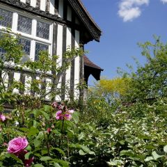 The Dysart Petersham