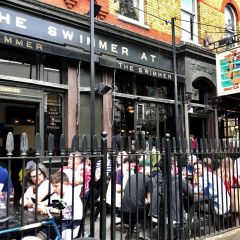 The Swimmer at the Grafton Arms