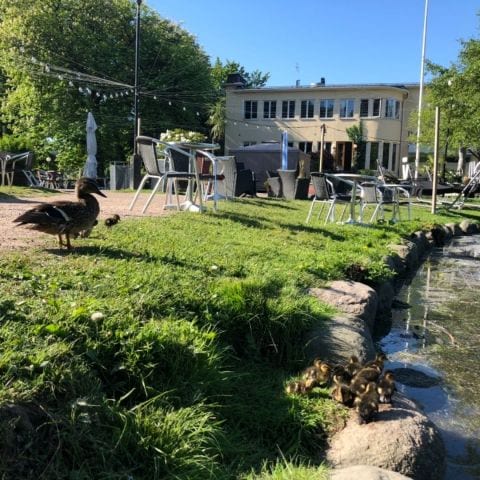 Bild från Villa Belparc av Percy R. (2019-03-16)
